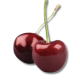 Title (300 x 500 px) (1) (1)