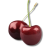 Title (300 x 500 px) (1) (1)