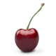 Title (300 x 500 px) (2) (1)