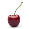 Title (300 x 500 px) (2) (1)
